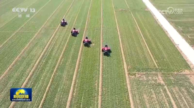 粮食安全真的稳了吗?从“十五五”布局看农业生产的深层逻辑 新闻 粮食安全真的稳了吗?从“十五五”布局看农业生产的深层逻辑 新闻