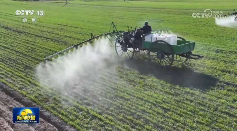 粮食安全真的稳了吗?从“十五五”布局看农业生产的深层逻辑 新闻 粮食安全真的稳了吗?从“十五五”布局看农业生产的深层逻辑 新闻