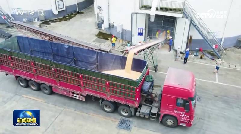 粮食安全真的稳了吗?从“十五五”布局看农业生产的深层逻辑 新闻 粮食安全真的稳了吗?从“十五五”布局看农业生产的深层逻辑 新闻