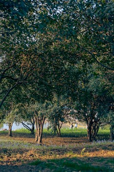 深层数据回溯:工业利润增长背后的经营逻辑与增效路径 股票财经