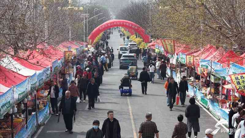 全季运营实战手册:昌邑「花经济」从“一季红”到“全年红”的破局法则 文化旅游