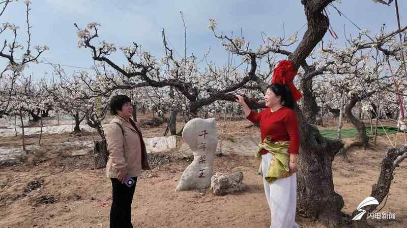 全季运营实战手册:昌邑「花经济」从“一季红”到“全年红”的破局法则 文化旅游
