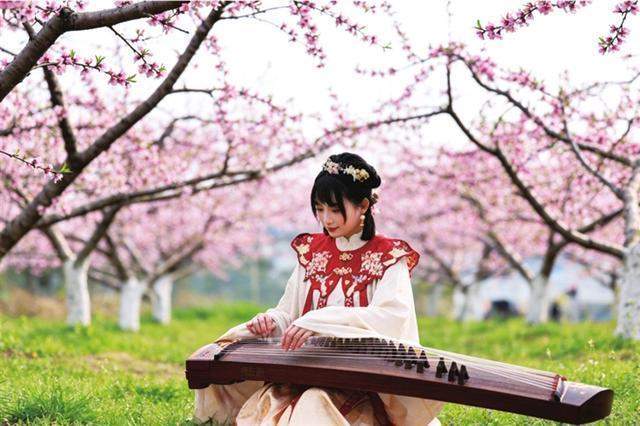 【植物科学】从基因到花季：太原植物园桃花园的品种改良与科普创新全解析