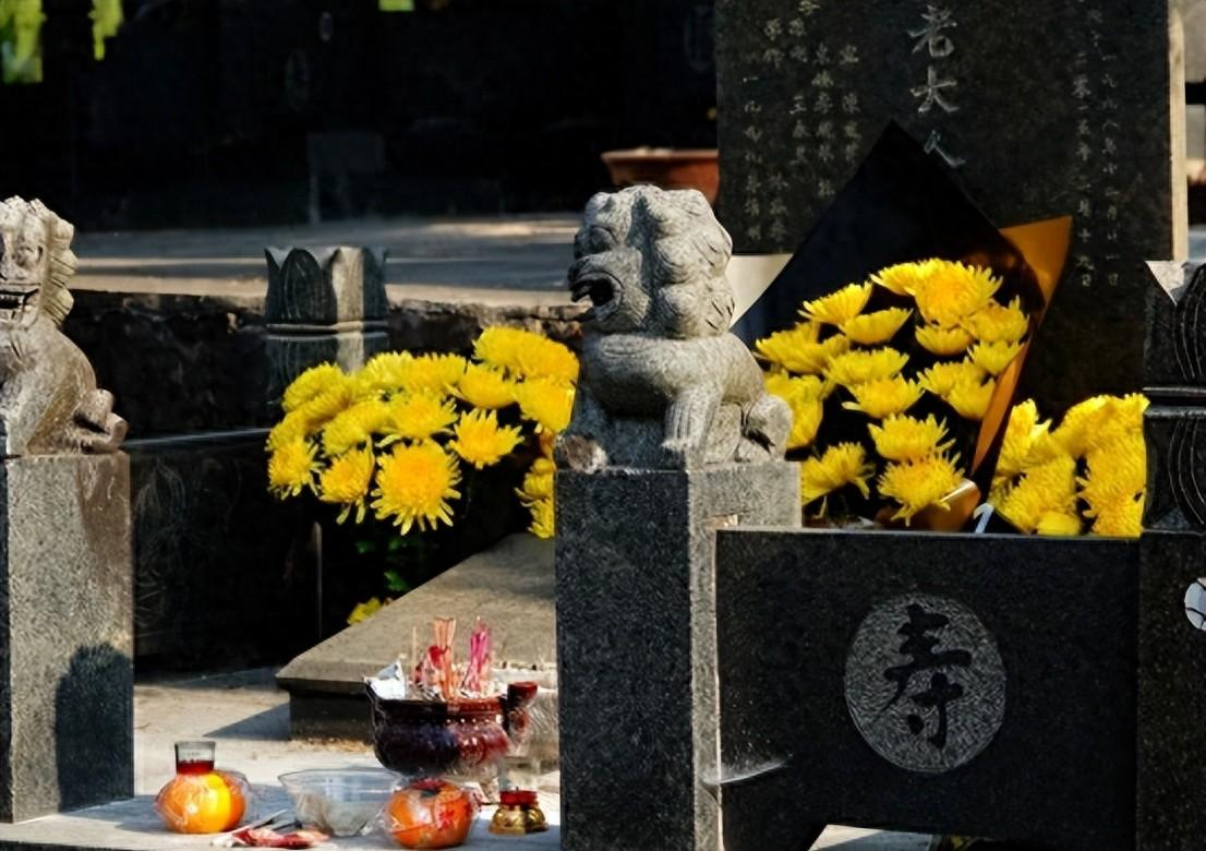 【政策深度】殡葬管理条例修订：8章73条全面解读与实操指引