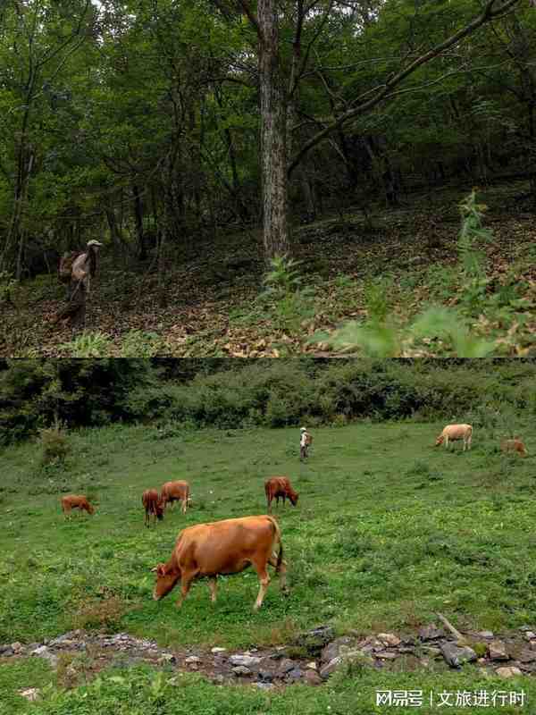  深扒秦岭脚下这家民宿：60后父母与三个女儿如何用四年时间造出一座「情感容器」 文化旅游