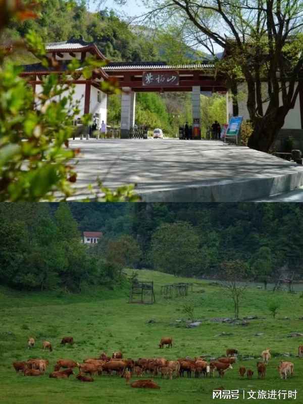  深扒秦岭脚下这家民宿：60后父母与三个女儿如何用四年时间造出一座「情感容器」 文化旅游