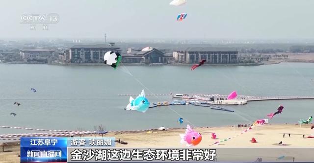  当风筝遇上AI算法：解码清明踏青背后的生态技术密码 新闻