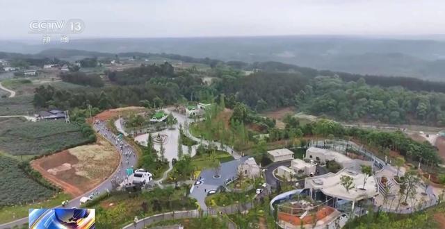  当风筝遇上AI算法：解码清明踏青背后的生态技术密码 新闻