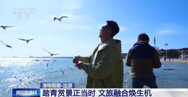  当风筝遇上AI算法：解码清明踏青背后的生态技术密码 新闻