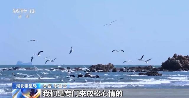  当风筝遇上AI算法：解码清明踏青背后的生态技术密码 新闻