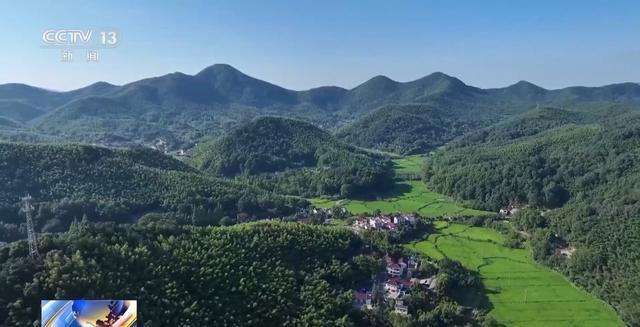  当风筝遇上AI算法：解码清明踏青背后的生态技术密码 新闻