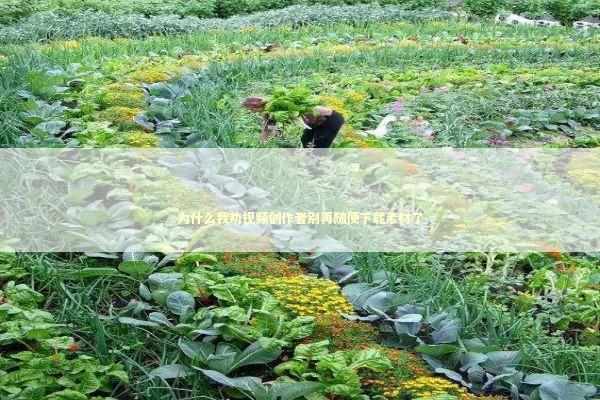 为什么我劝视频创作者别再随便下载素材了